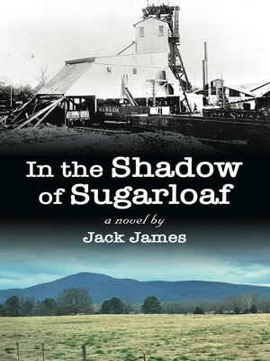 cover image of In the Shadow of Sugarloaf
